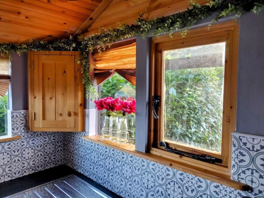 Forest View Cabin Баллахадеррин Экстерьер фото
